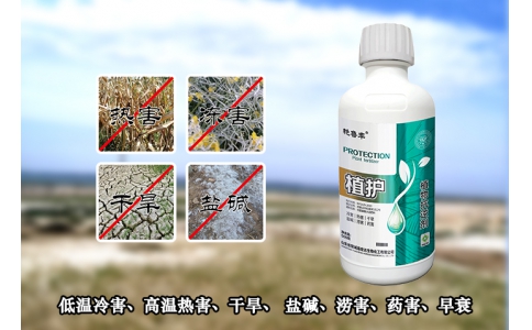 植護(hù)—針對低溫冷害、高溫?zé)岷Α⒏珊怠?鹽堿、澇害、藥害、早衰等問題