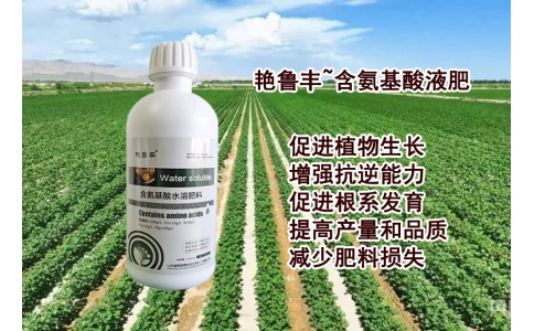 艷魯豐~含氨基酸液肥—促進(jìn)植物生長、增強(qiáng)抗逆能力、促進(jìn)根系發(fā)育、提高產(chǎn)量和品質(zhì)、減少肥料損失