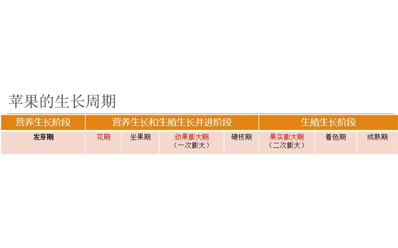 碧鈦~促進蘋果生長